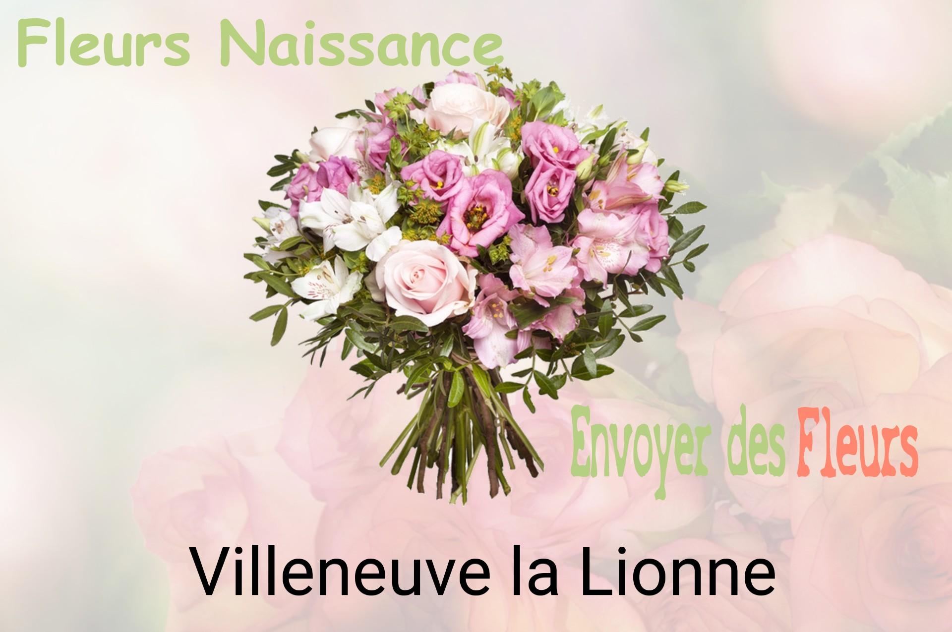 Bouquet de fleurs de naissance livré à Villeneuve-la-Lionne