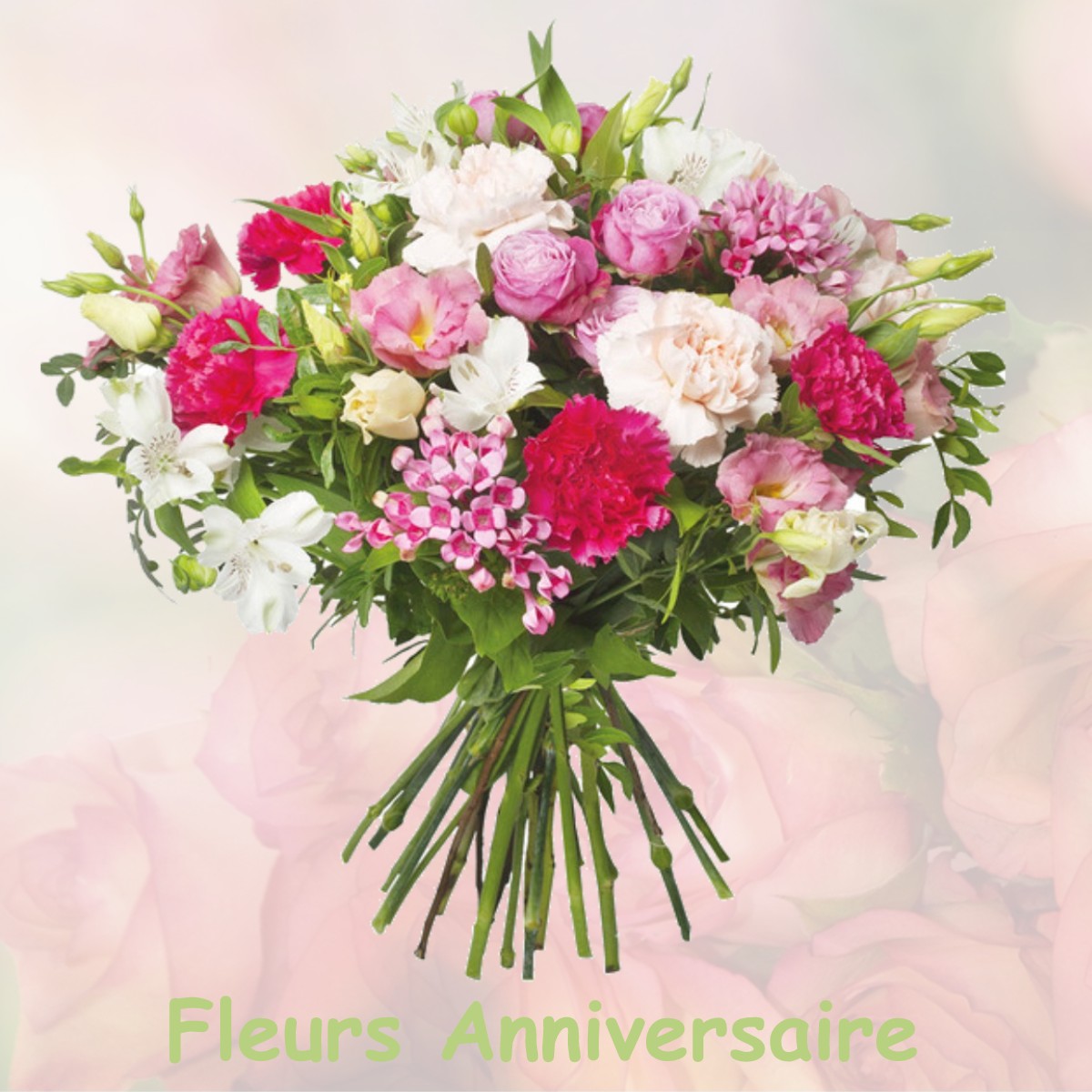 fleurs anniversaire VILLENEUVE-LA-LIONNE